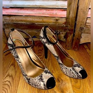 BCBG Generation snakeskin print heel Size 8